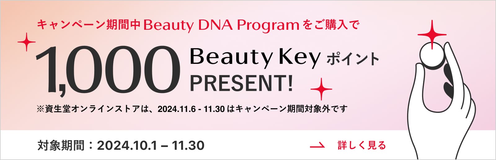 キャンペーン期間中Beauty DNA Programをご購入で1,000Beauty KeyポイントPRESENT! ※資生堂オンラインストアは、2024.11.6 - 11.30 はキャンペーン期間対象外です 対象期間:2024.10.1-11.30 詳しく見る