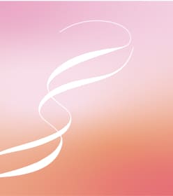 Beauty DNA Programのキットイメージ